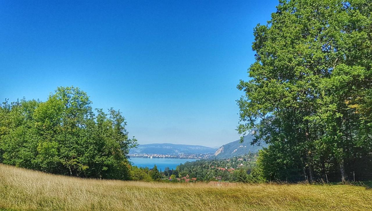 Manou Du Lac Annecy 杜萨尔 外观 照片